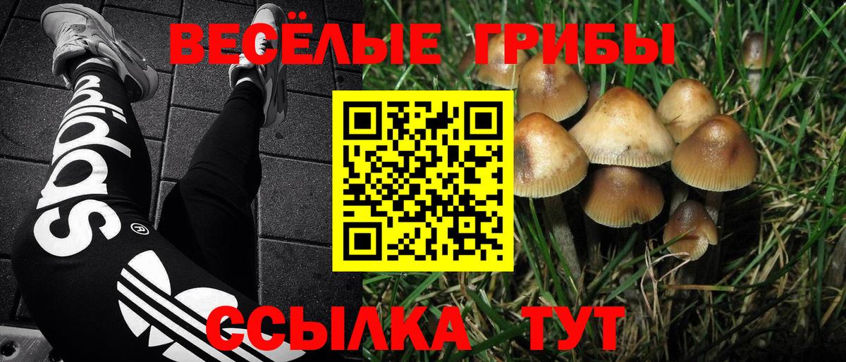 Галлюциногенные грибы мухоморы  Галлюциногенные грибы прущие грибы  Новошахтинск  Вход с VPN 